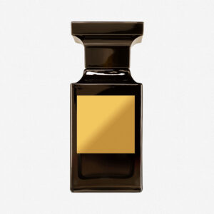 Ombré Leather by Tom Ford Type